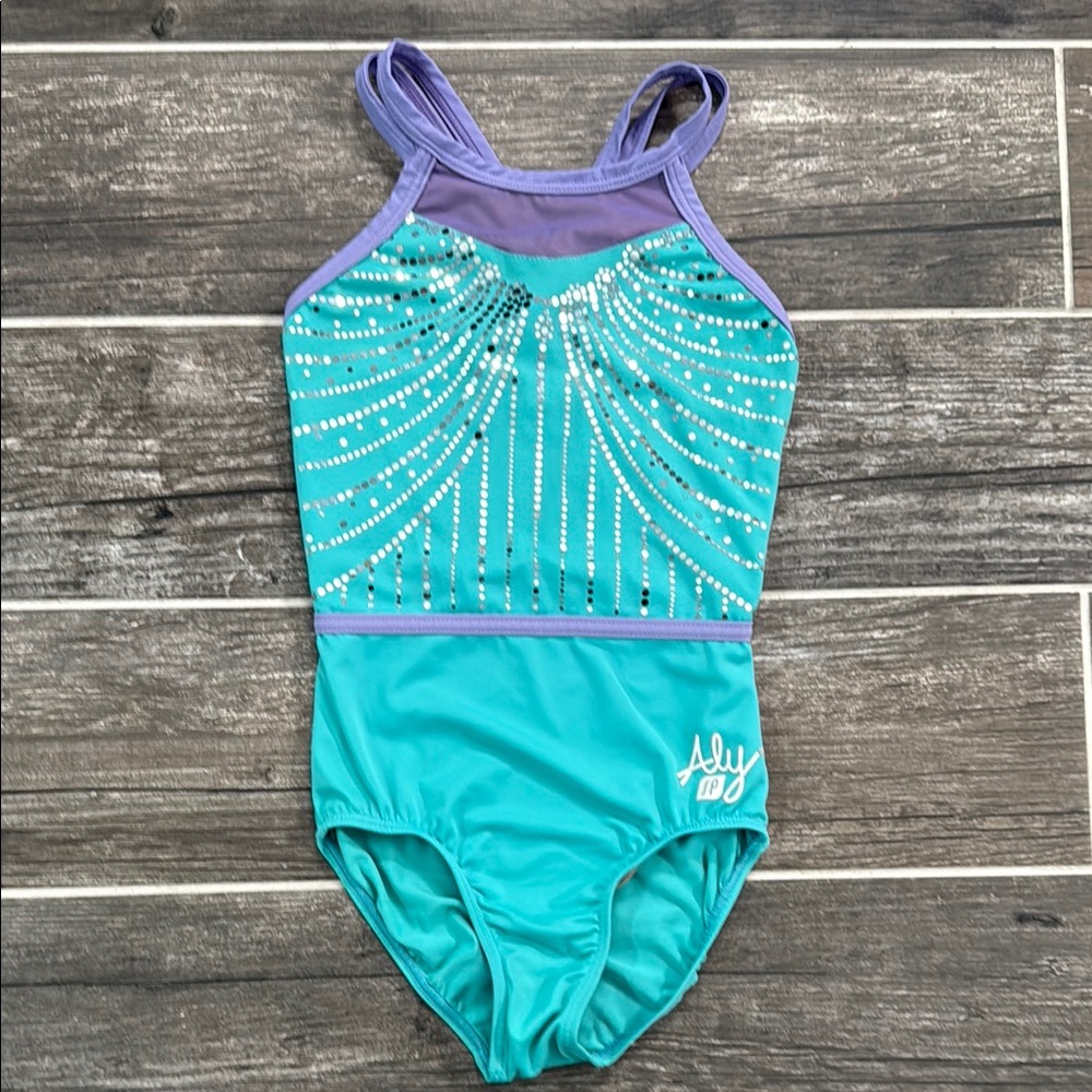 Aly Sylvia P Purple and Teal Leotard size 10